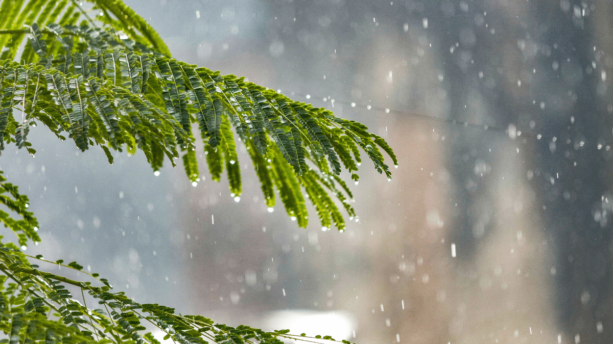 Frente fria pode trazer chuva para Goiás na quinta-feira