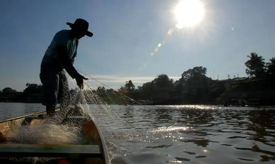 Brasil amplia produção de pescados em reservatórios de hidrelétricas, aliando energia e aquicultura