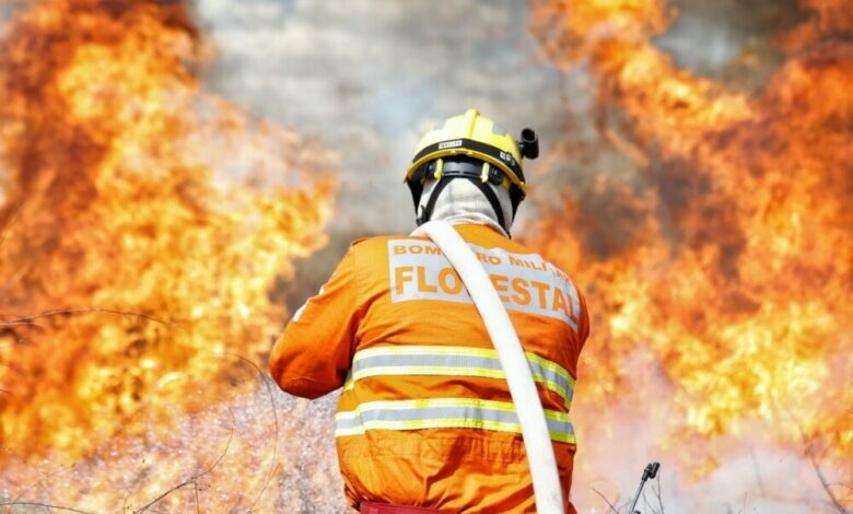 Curso de Instrução de Nivelamento de Conhecimento Florestal – 2025 – Corpo de Bombeiros Militar do Estado de Goiás