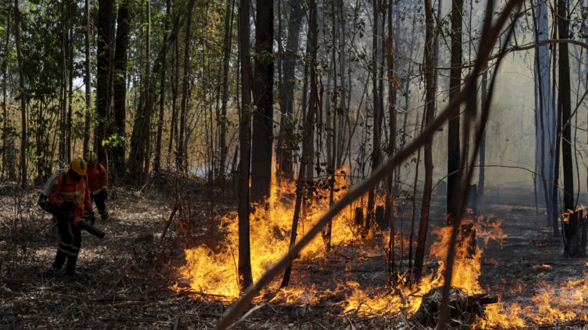 Brasil tem maior número de focos de incêndio em 14 anos