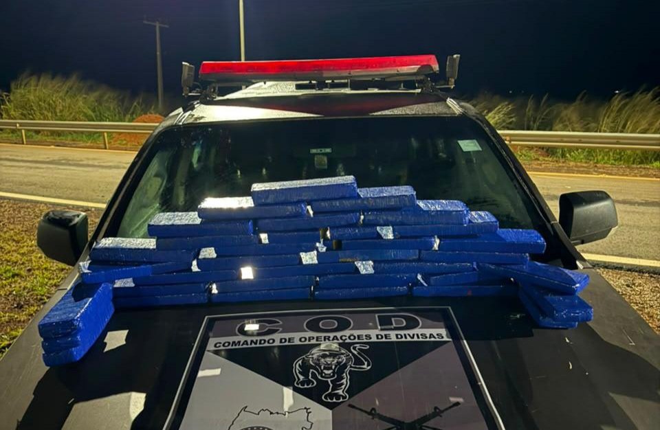 COD prende traficante e apreende 20 kg de maconha na região Leste de Goiás
