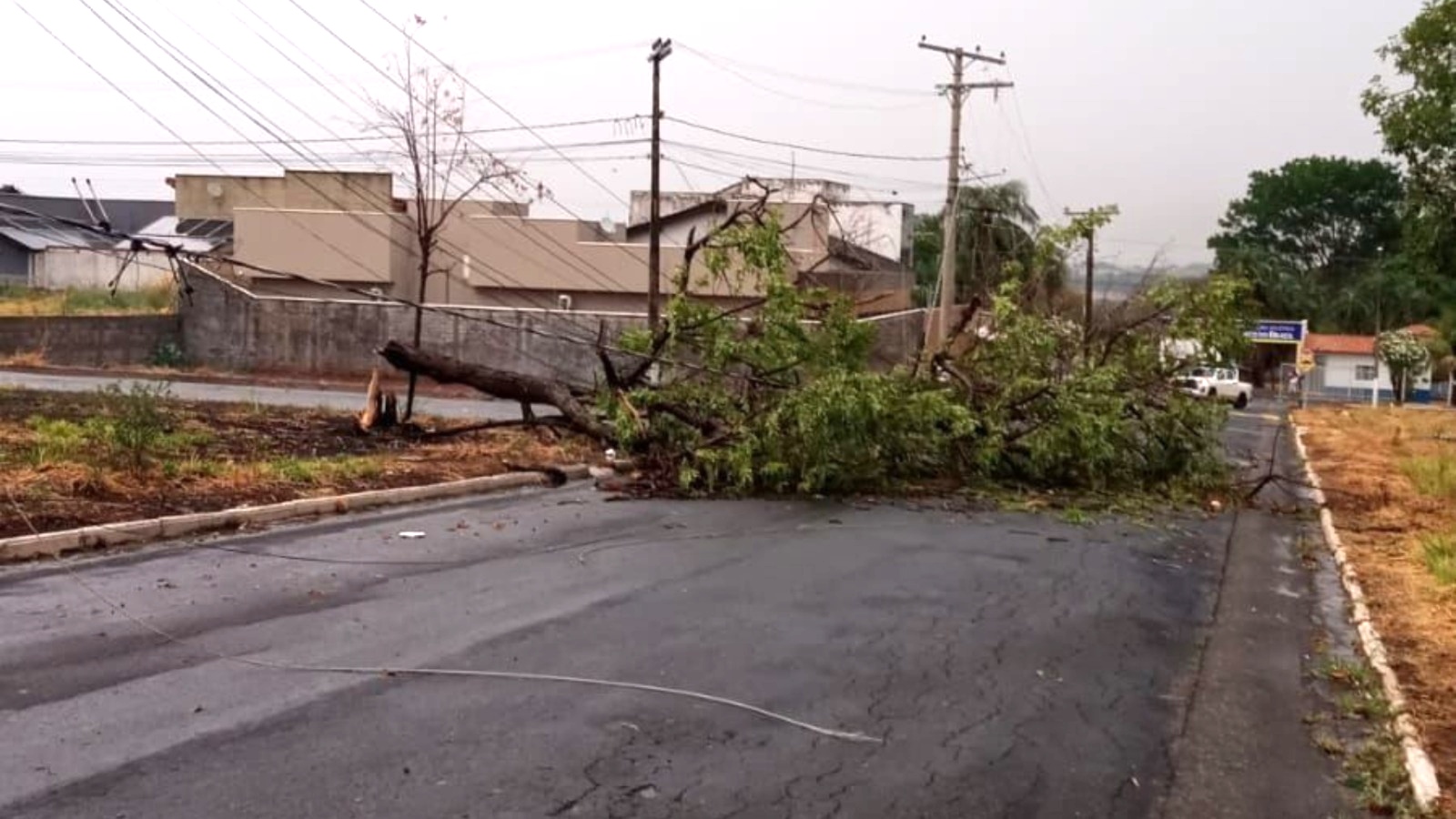 Equatorial Goiás alerta para risco de temporais com granizo nas próximas horas