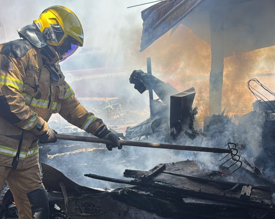 Incêndio em residência no bairro Brasília deixa cavalos mortos e feridos em Araguari