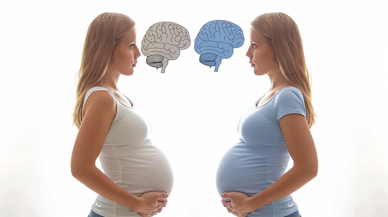 Estudos indicam que maternidade promove adaptação cerebral temporária