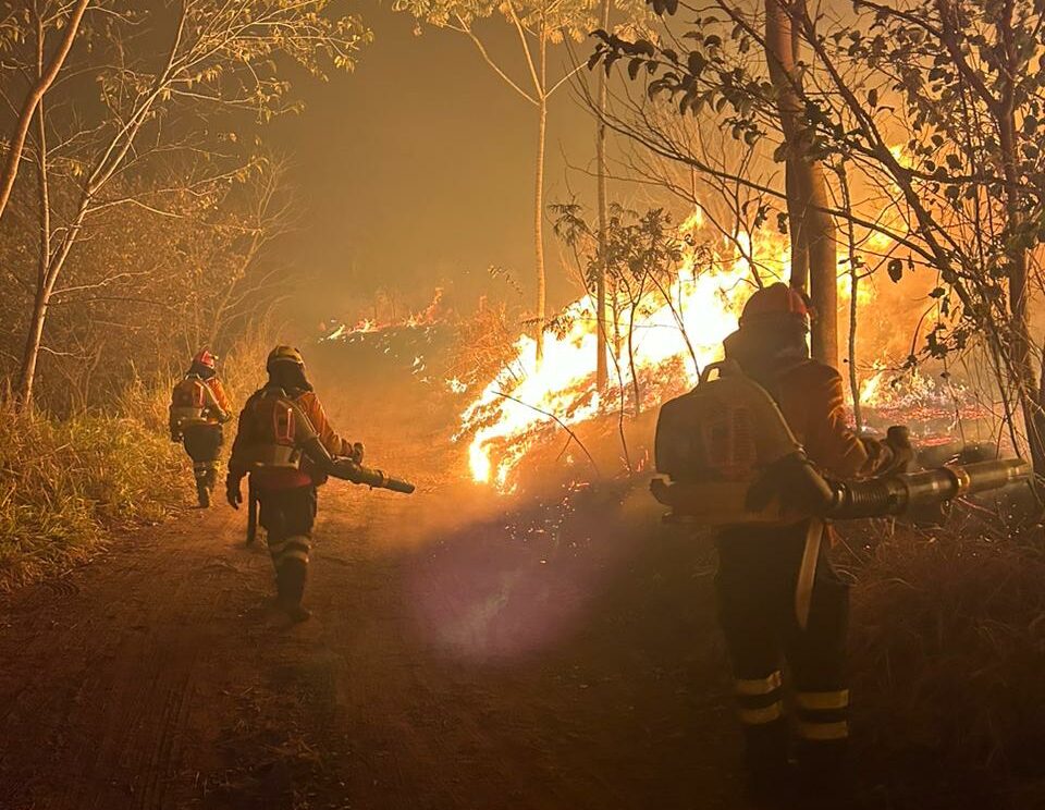 Bombeiros entram no 4° dia de combate ao incêndio no Parque