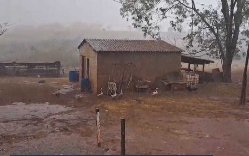 Após cerca de cinco meses de estiagem, chove em cidades de Goiás