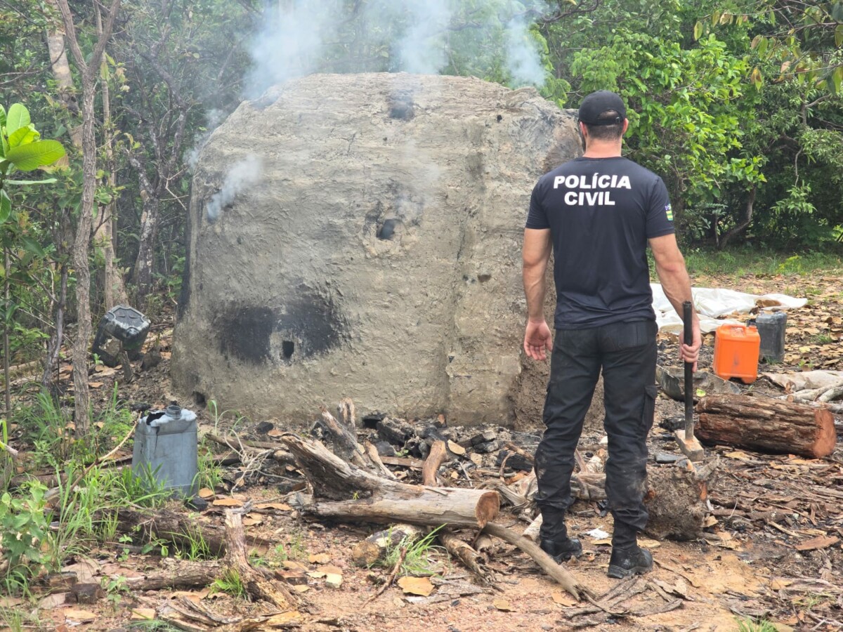 PCGO prende investigados por fabricação clandestina de carvão e posse de armas de fogo de forma irregular